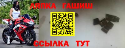СК Моздок