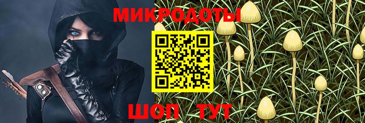Псилоцибиновые грибы Psilocybine cubensis  Вход с VPN  Псилоцибиновые грибы мицелий  Великий Новгород 